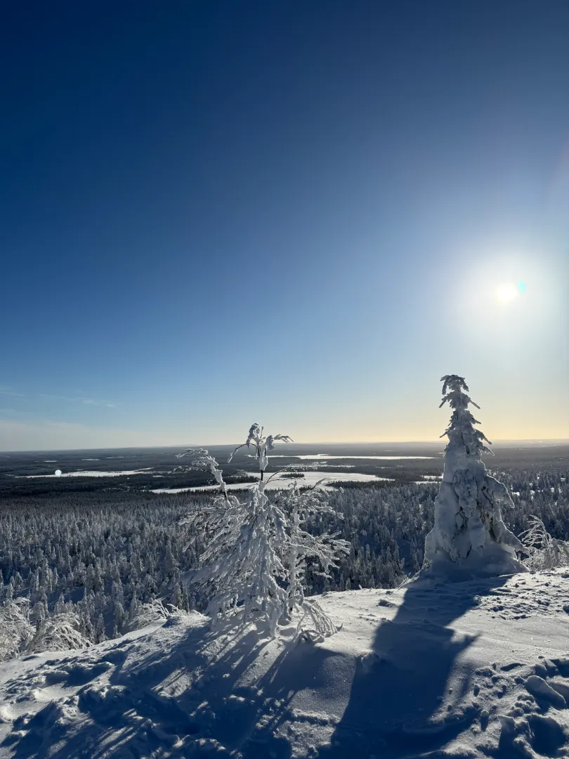 Foto von Svenja
