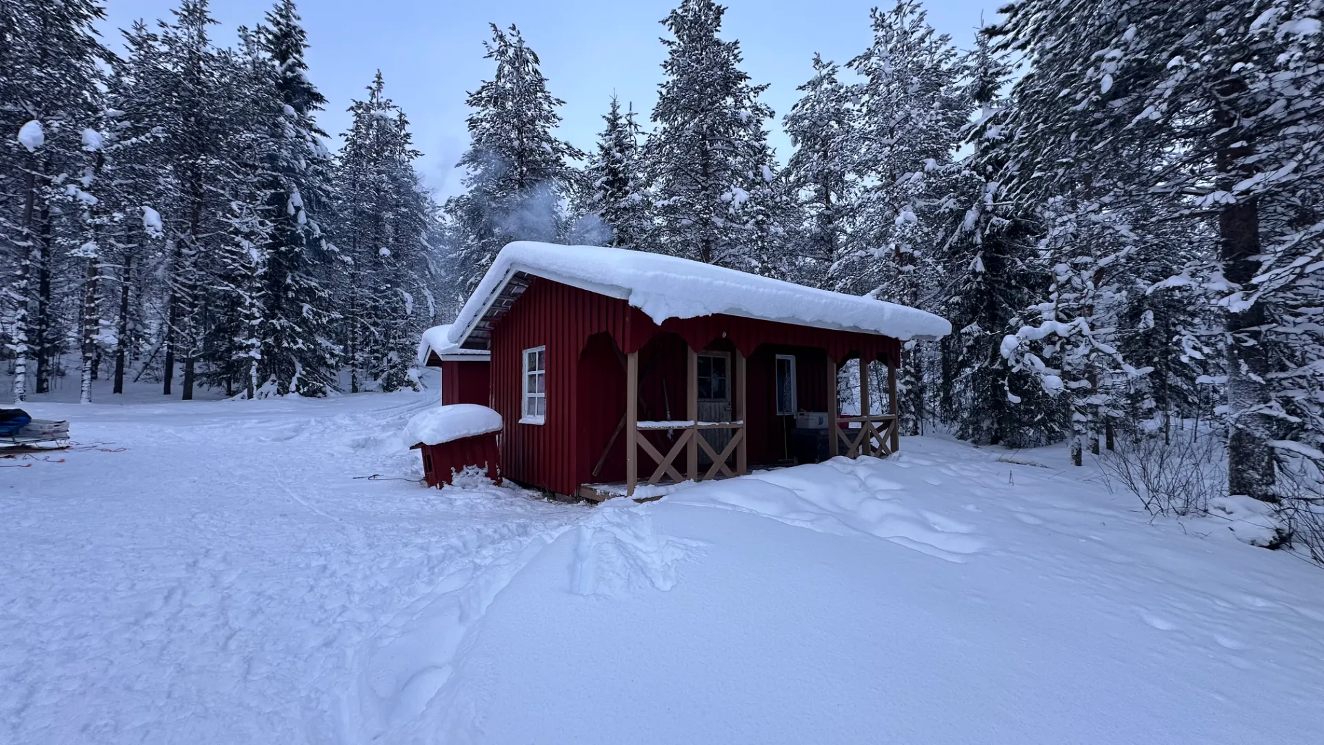 Foto von Svenja