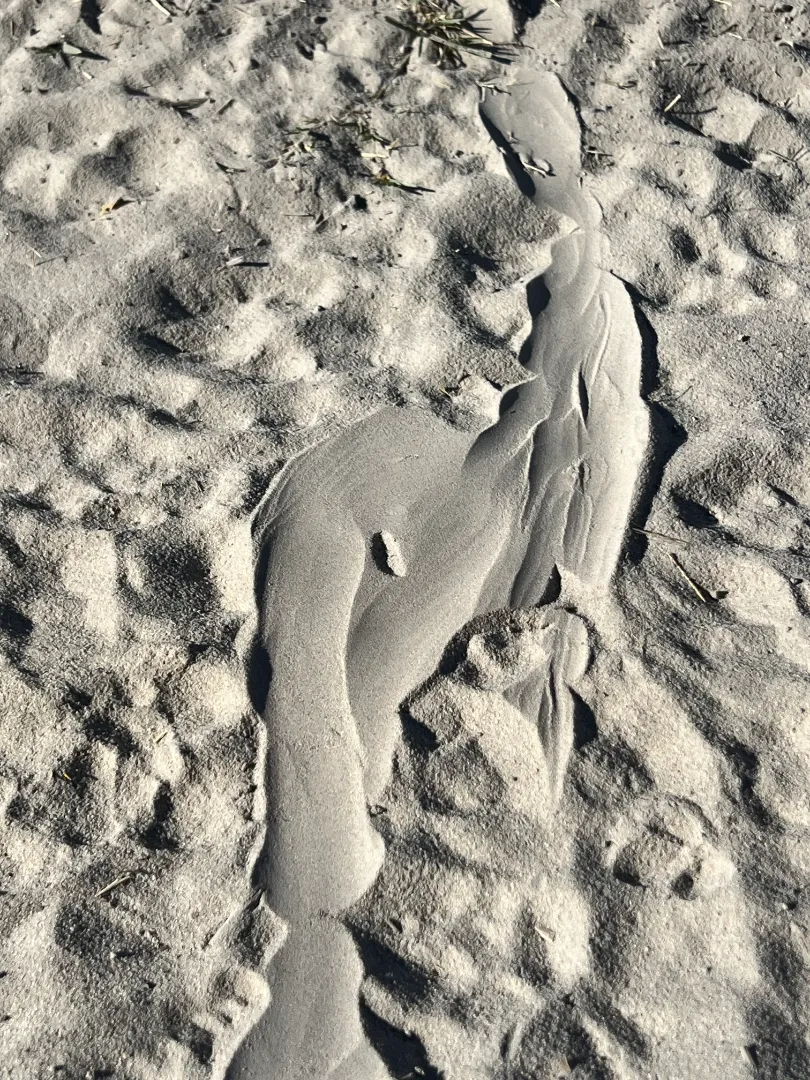 Foto von Gaby