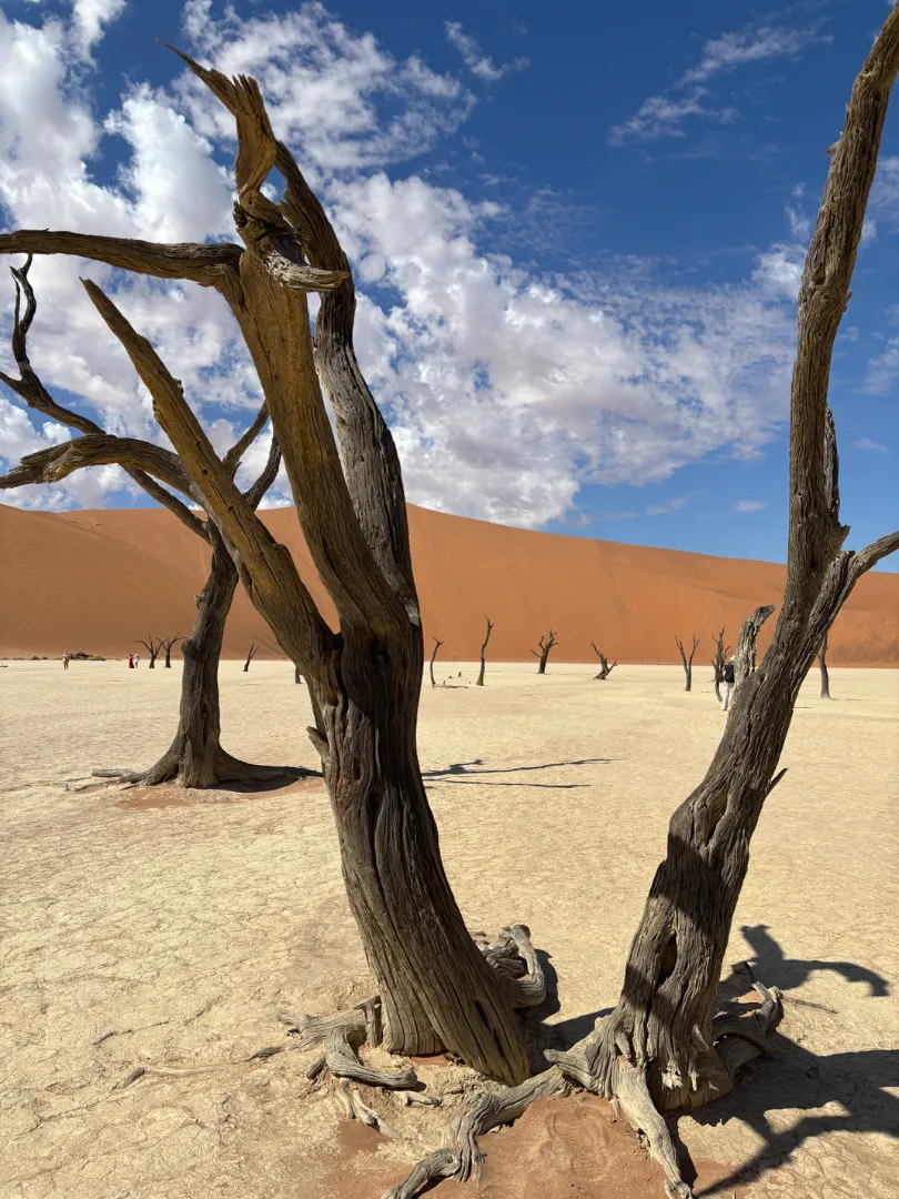 Foto von Katharina