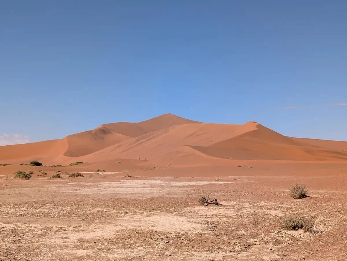 Foto von Daniel