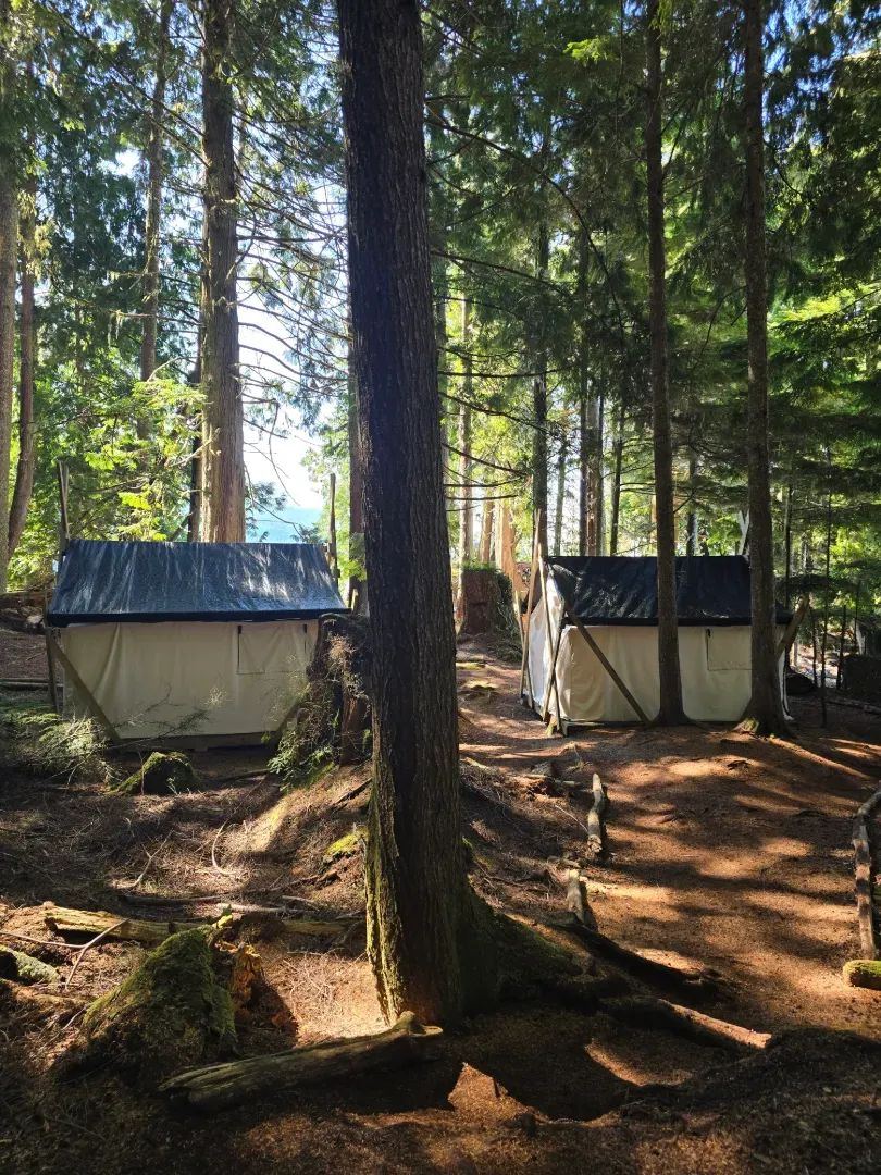 Foto von Alina