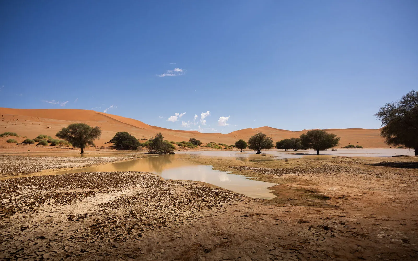 Sossusvlei, die roten Dünen