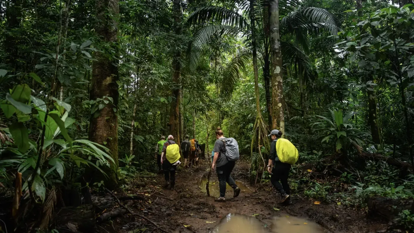 Wandergruppe auf einem schmalen Pfad im Regenwald der Osa-Halbinsel