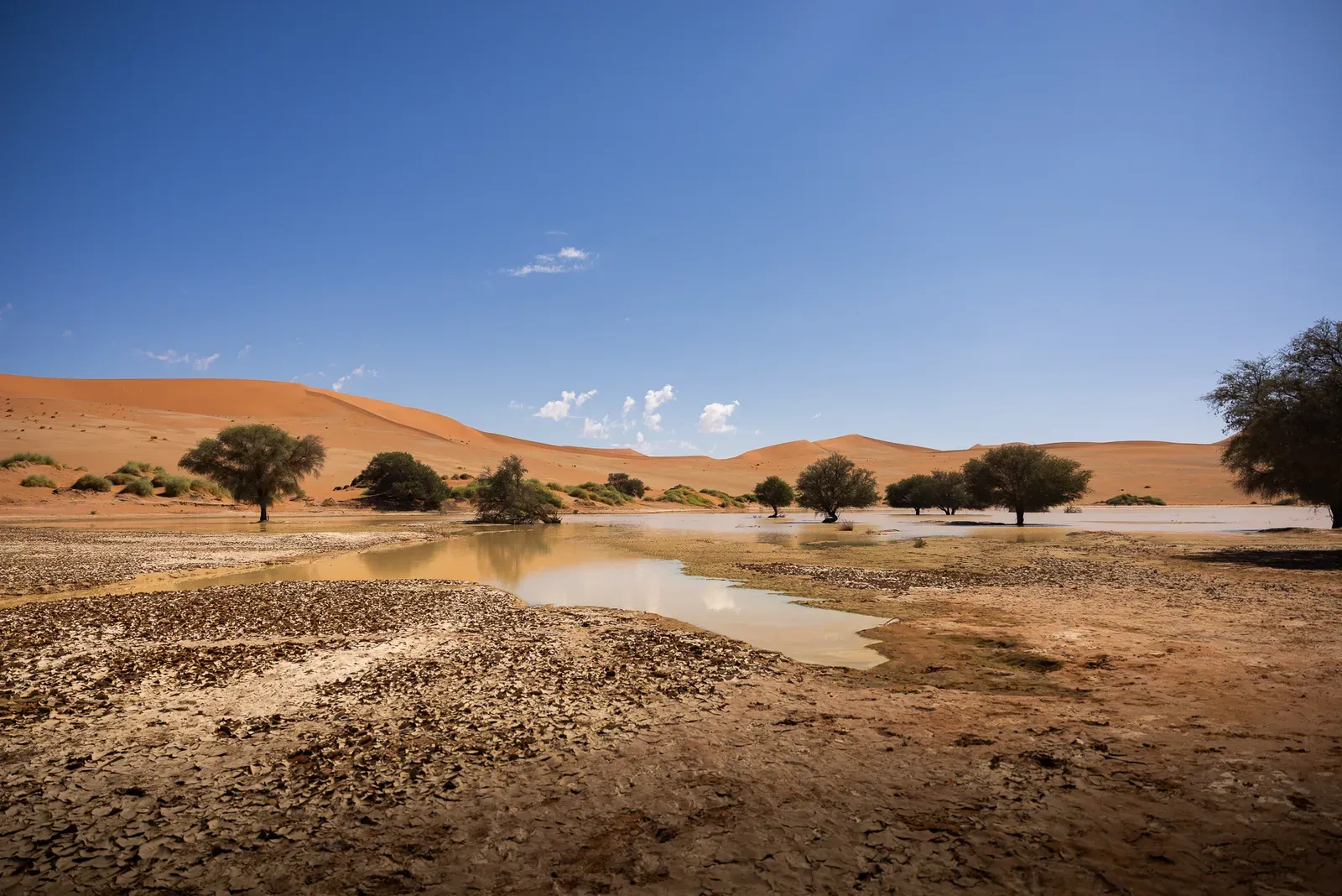 Sossusvlei, die roten Dünen