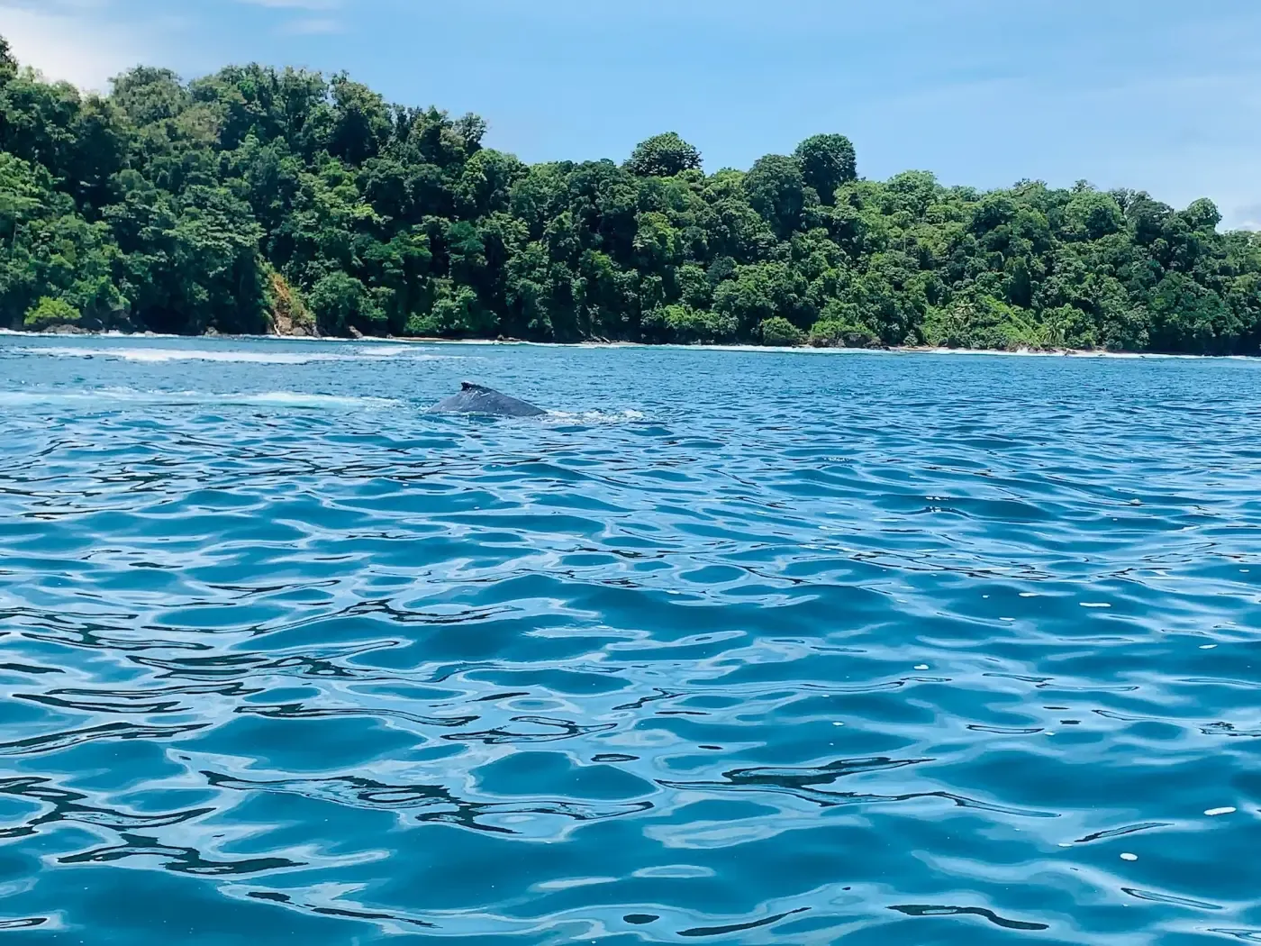 Der Pazifik vor der Osa-Halbinsel rund um die Caño Island