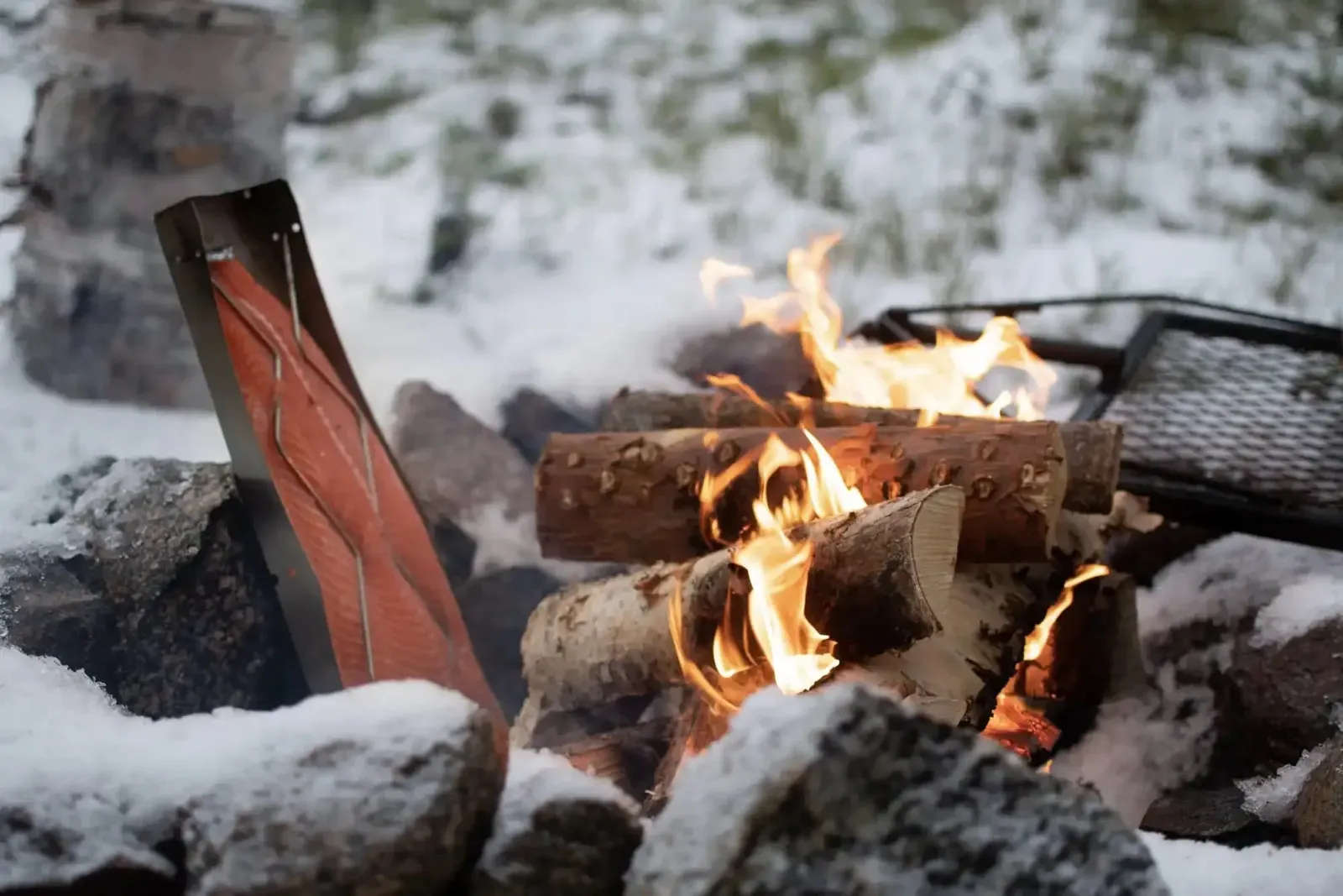 Hundeschlittentour durch die verschneite Wildnis in Finnisch Lappland