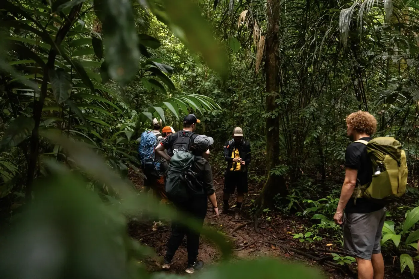 Wandergruppe auf einem Pfad im Corcovado-Nationalpark