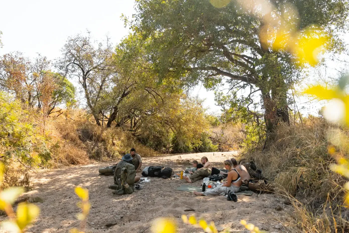 Mobiles Trailcamp in der Wildnis