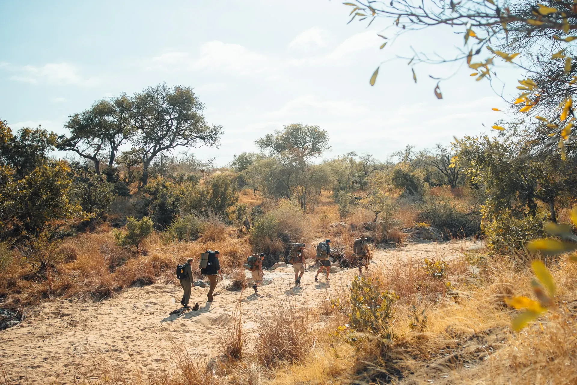 Wilderness Trail Botswana