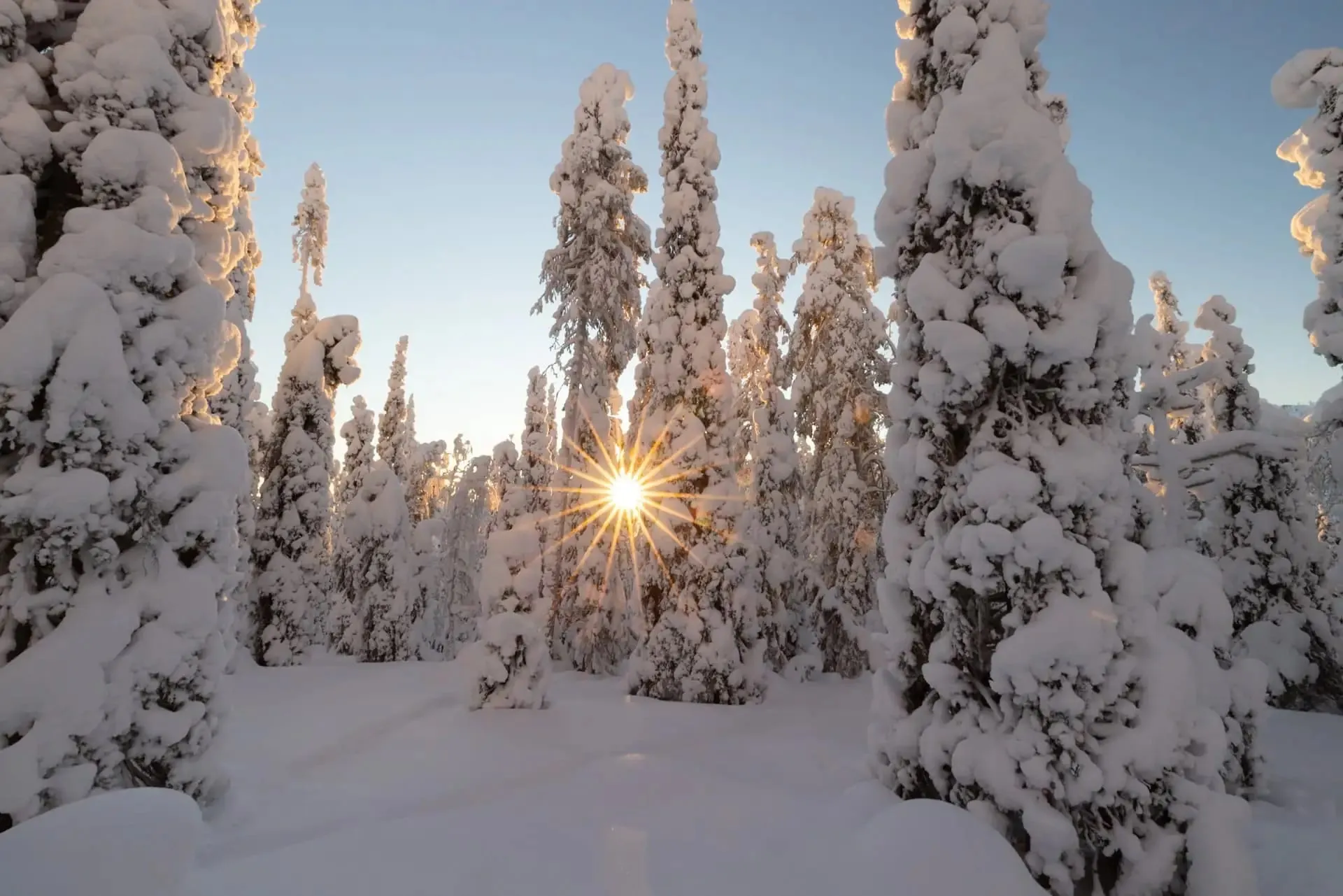 Winterlandschaft bei Sonnenuntergang
