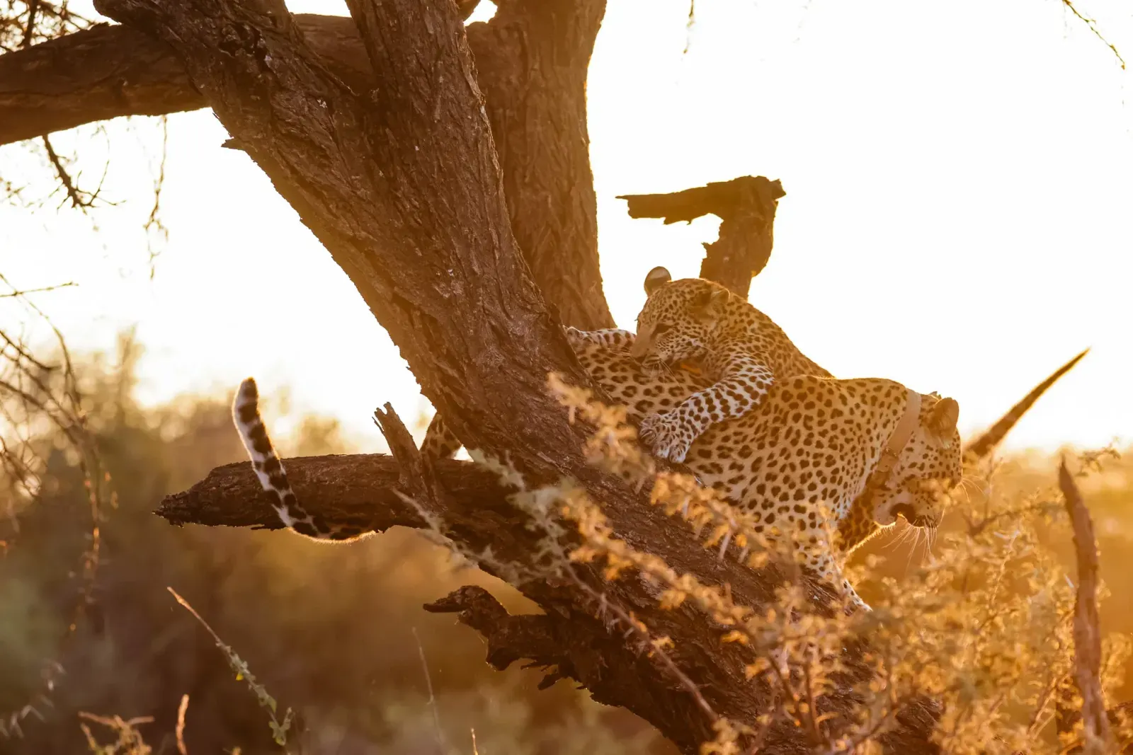 Ist Namibia gefährlich? Die ehrliche Antwort