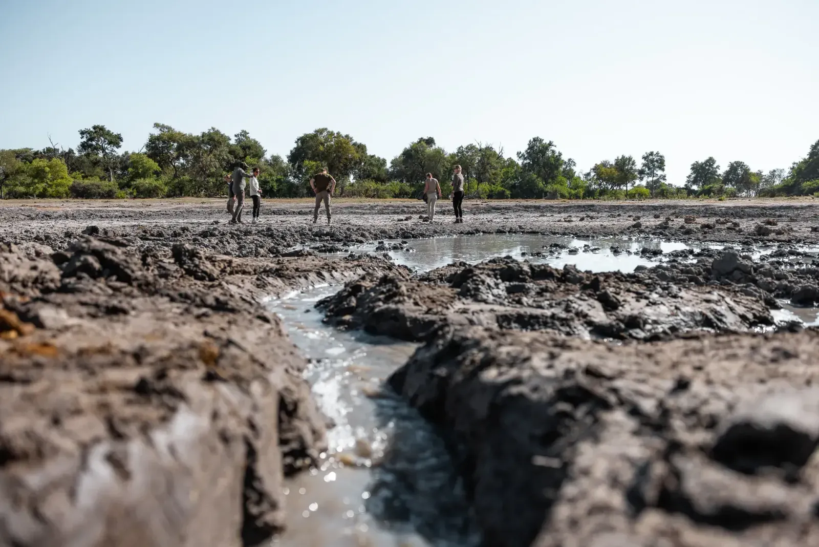 Botswana: geführte Reise oder Selbstfahrer? Der ehrliche Vergleich