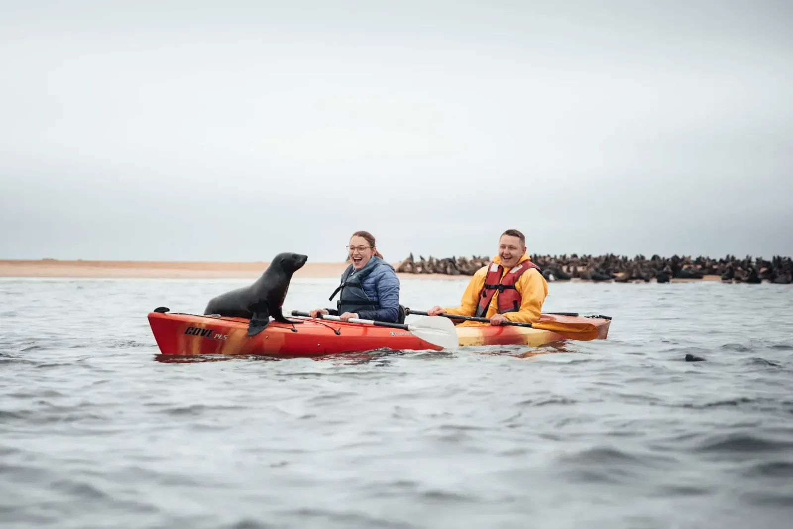 Walvis Bay & Pelican Point, wo Wüste auf Atlantik trifft