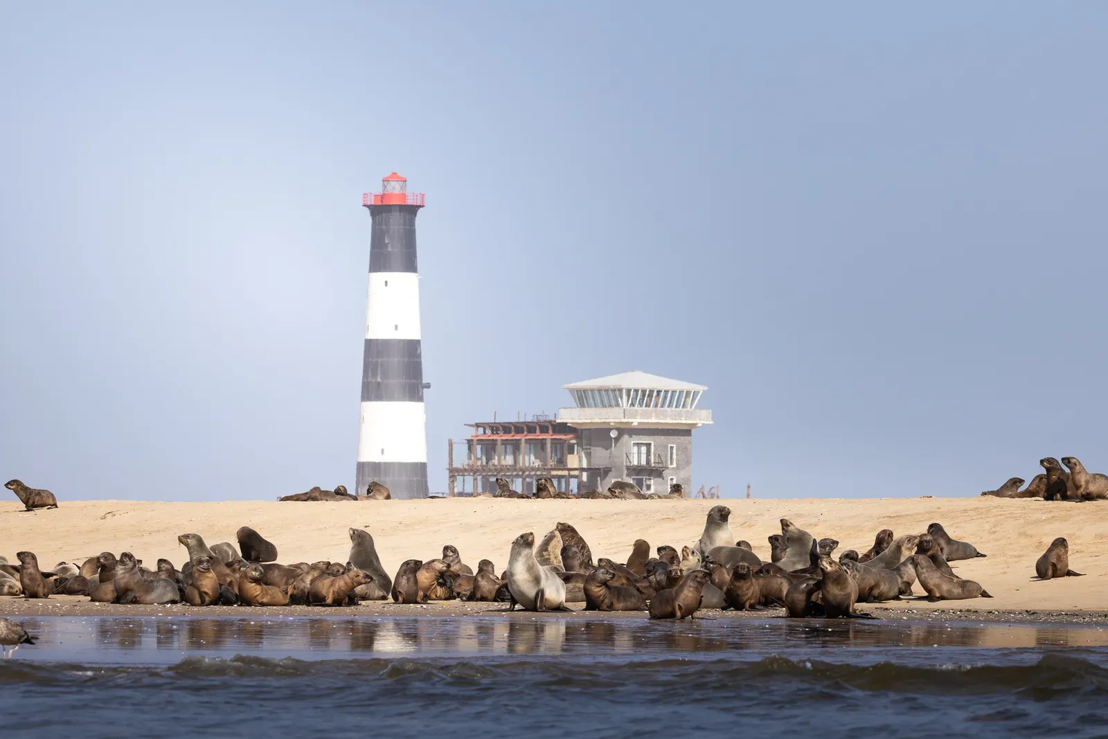 3. Kajak mit Robben in Walvis Bay