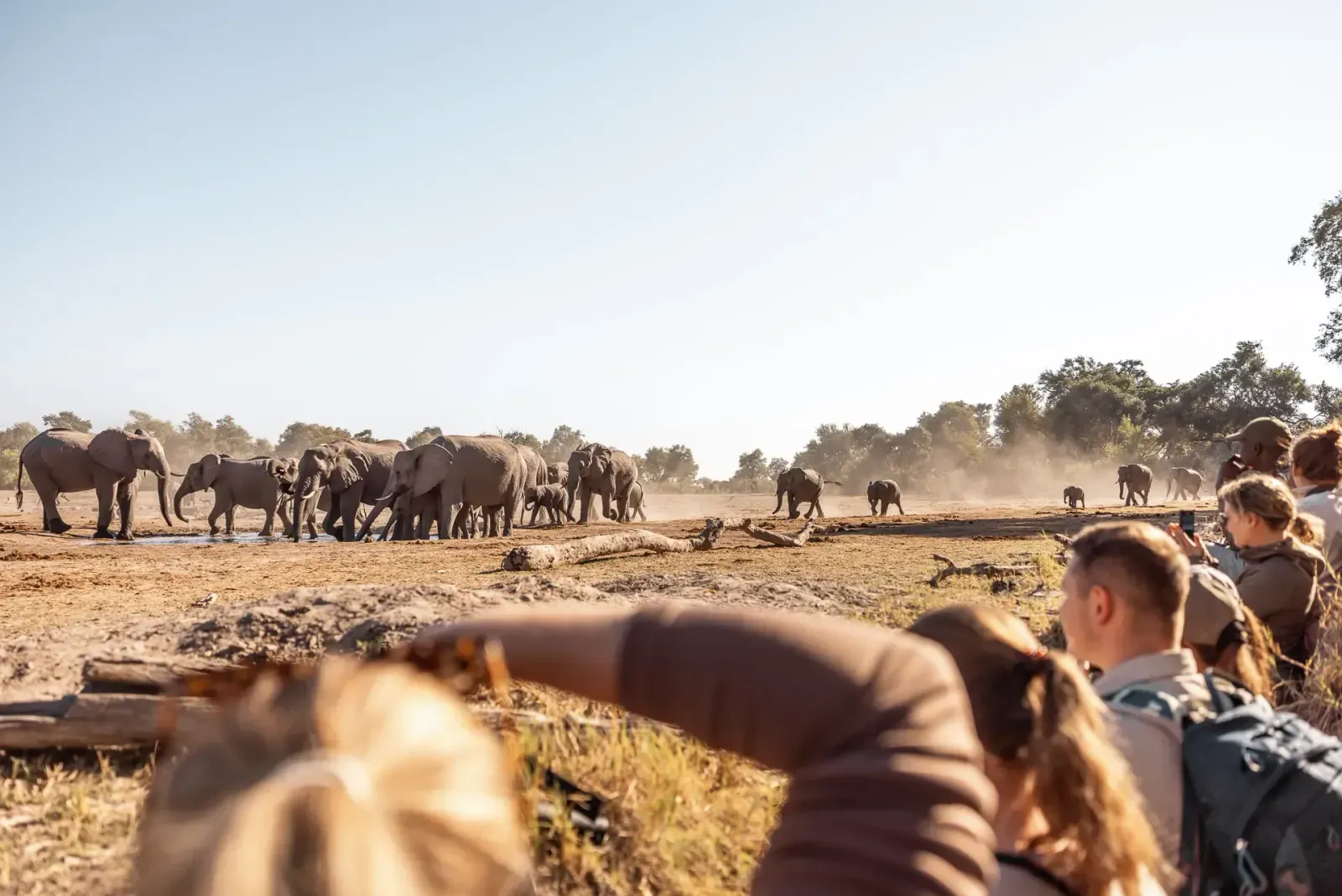 3. Walking Safari zu Fuß