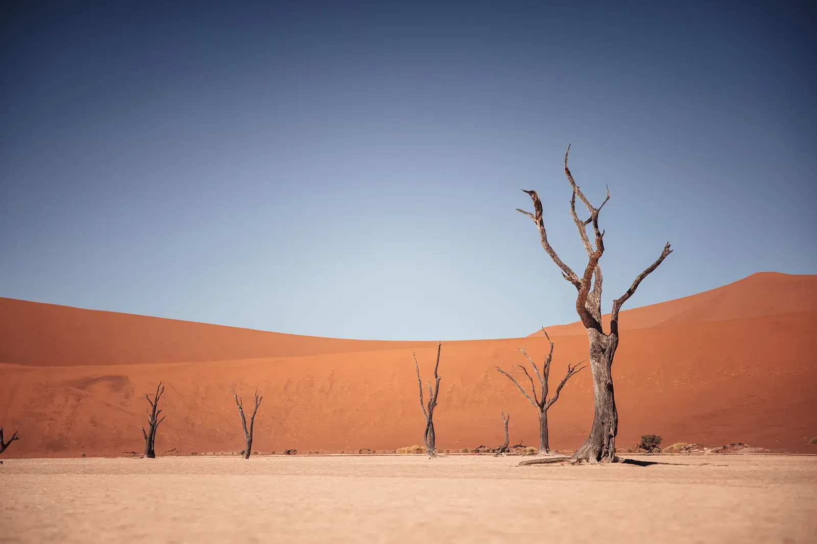 Sossusvlei-Pfanne