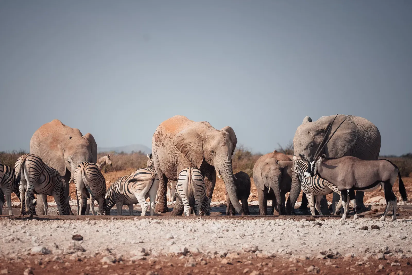 Die Etosha-Pfanne selbst
