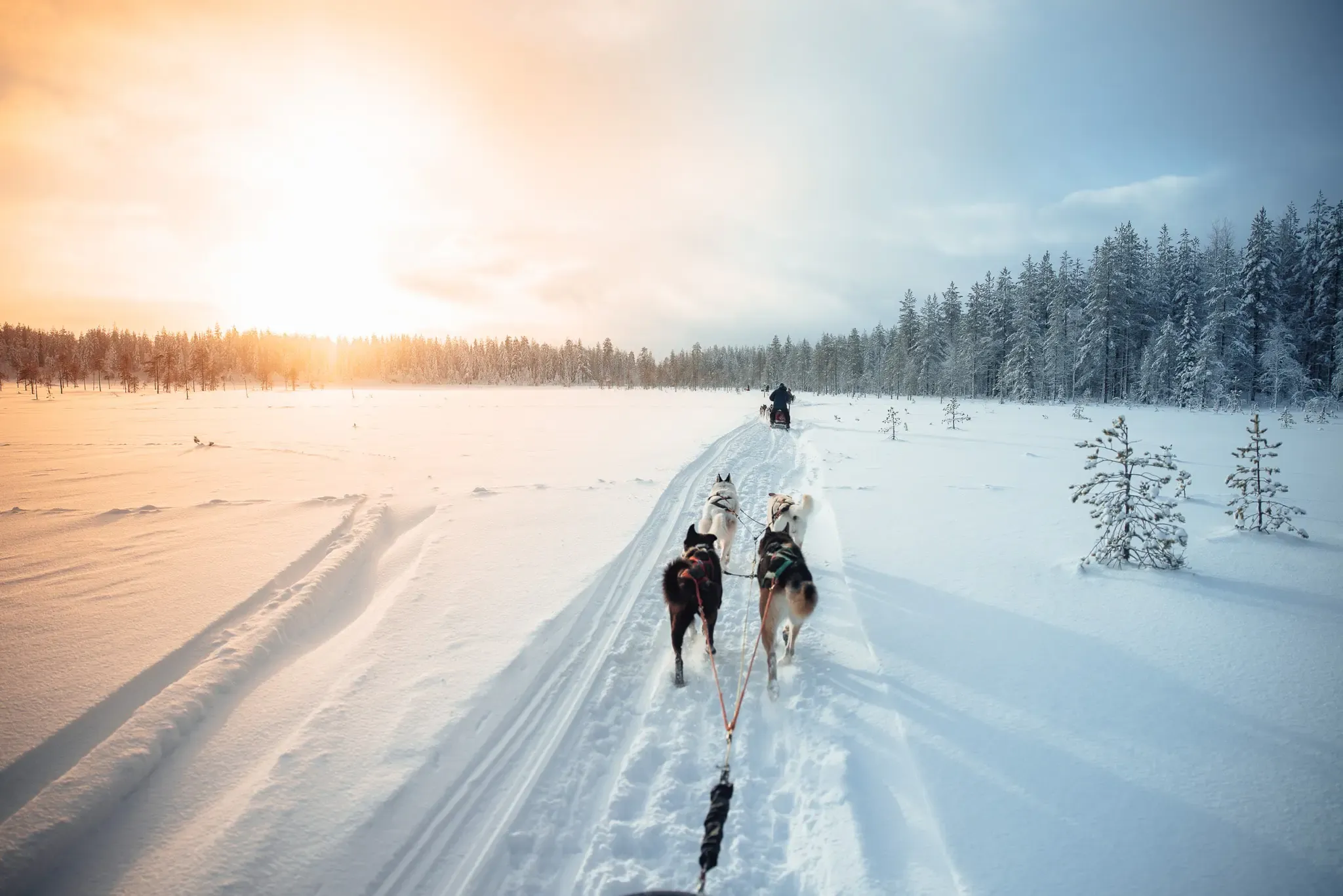 3-tägige Hundeschlittentour