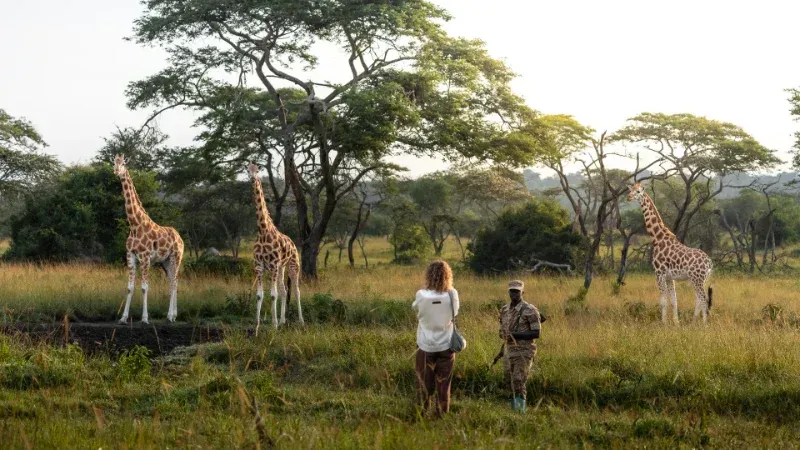 6. Walking Safari im Lake Mburo