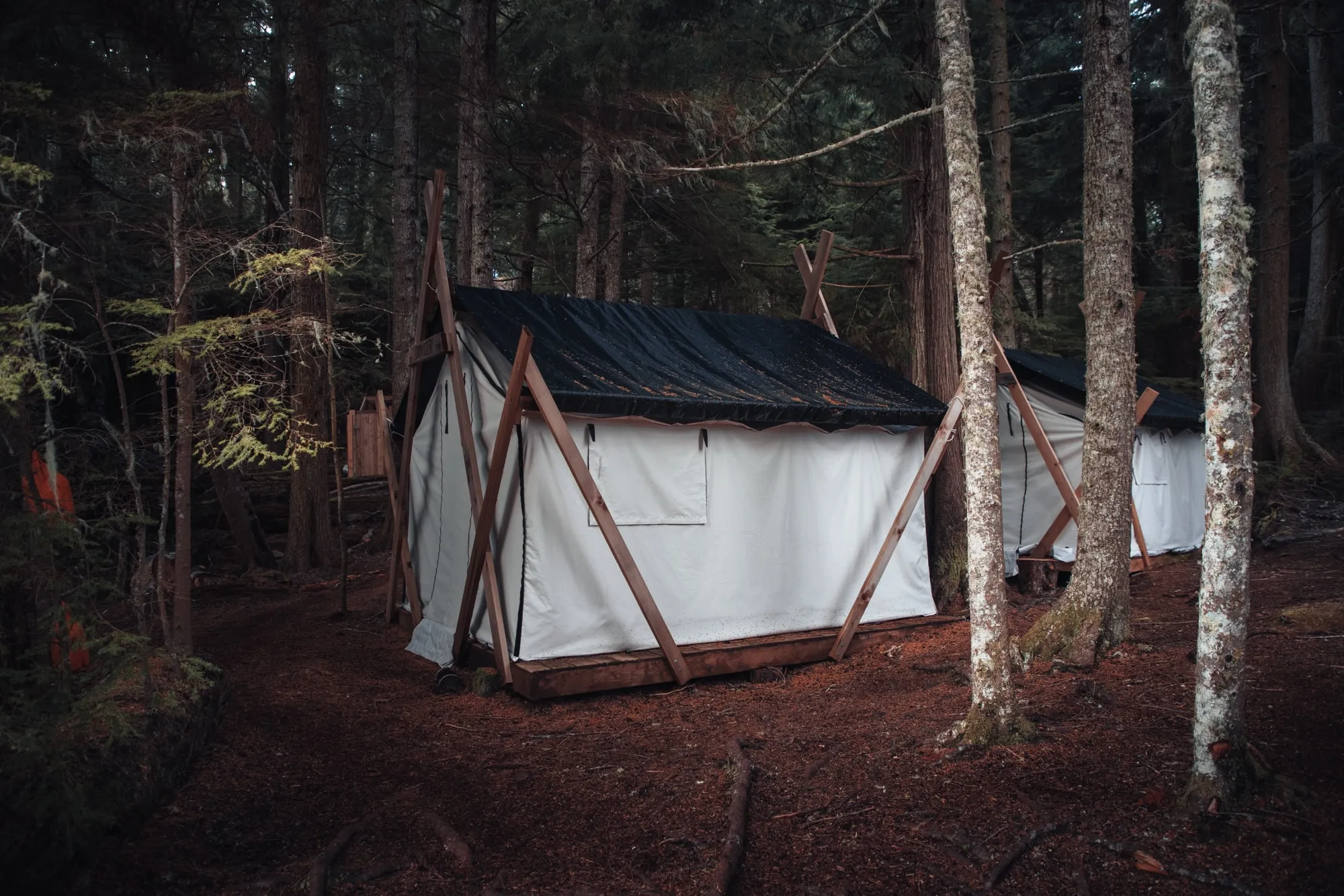 Wildnis-Glamping