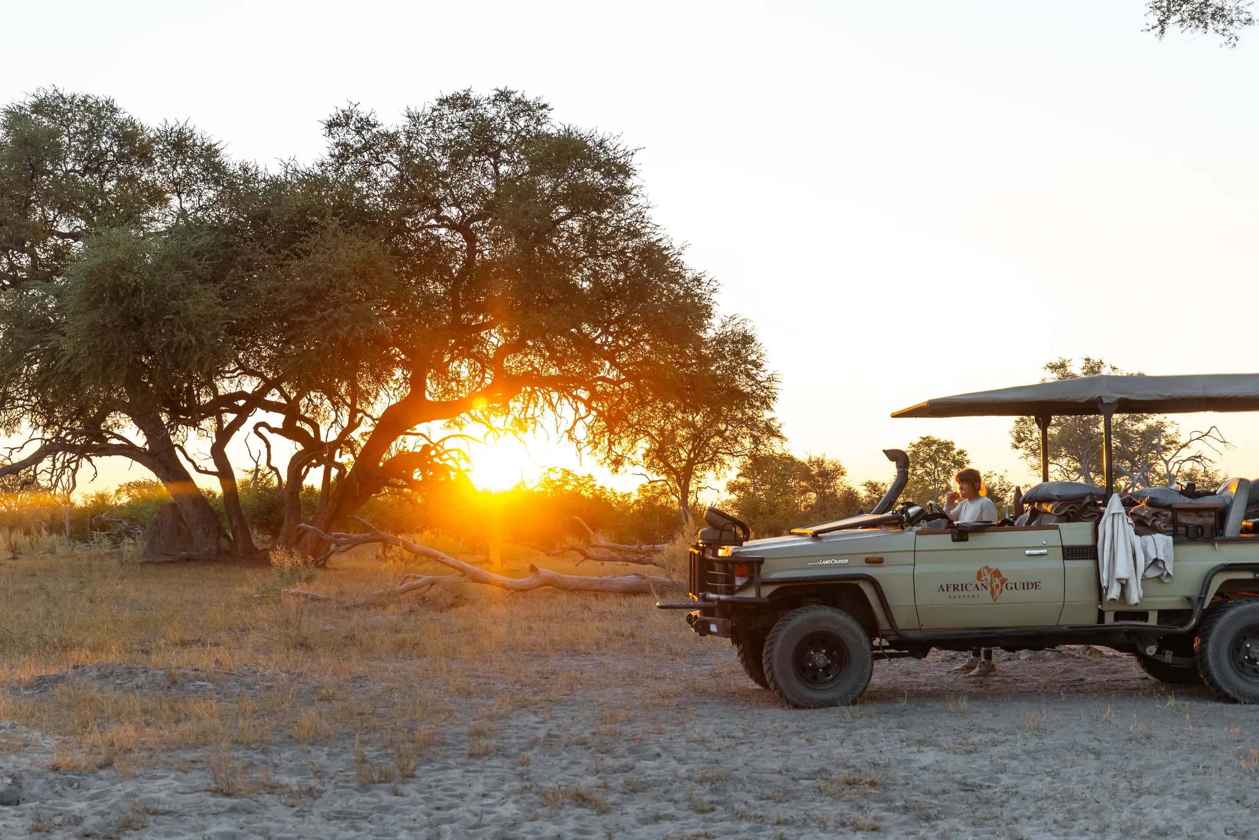 Pirschfahrt im offenen Geländewagen im Okavango-Delta