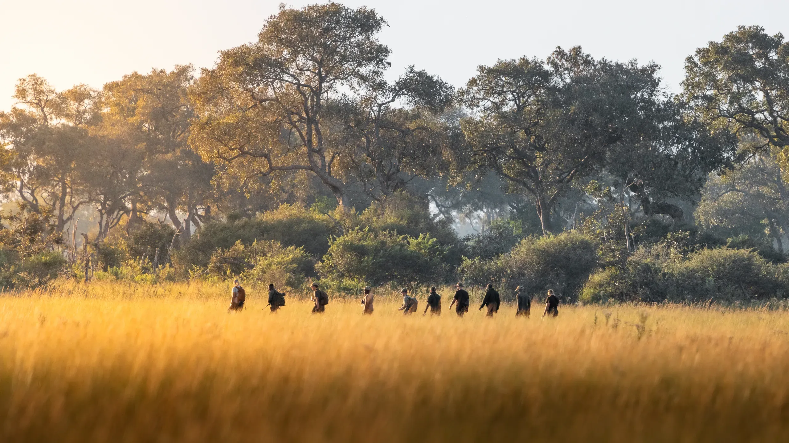 Walking Safari zu Fuß im Khwai-Schutzgebiet