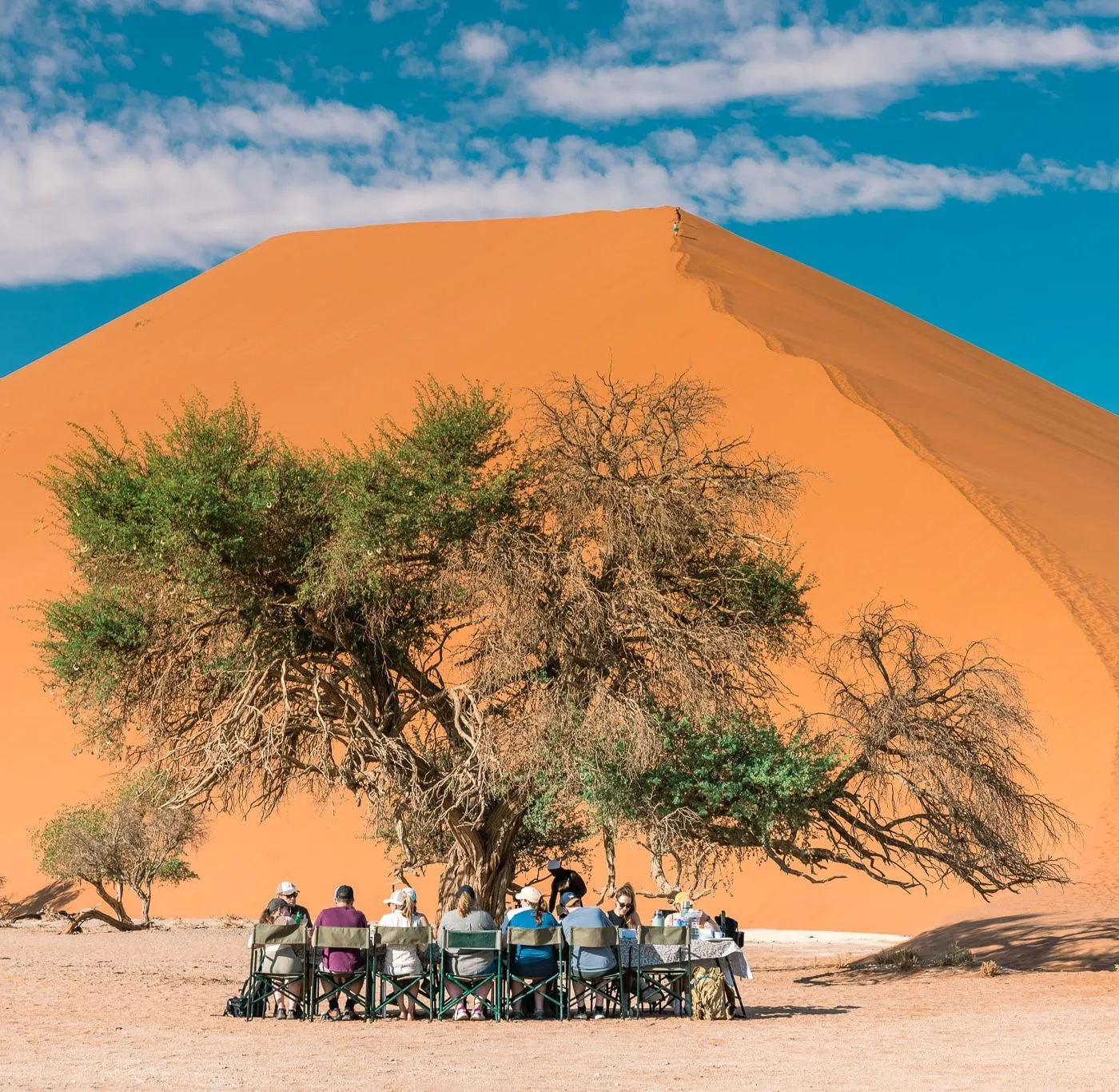 Gruppe im Schatten eines Baums vor der großen orangefarbenen Düne