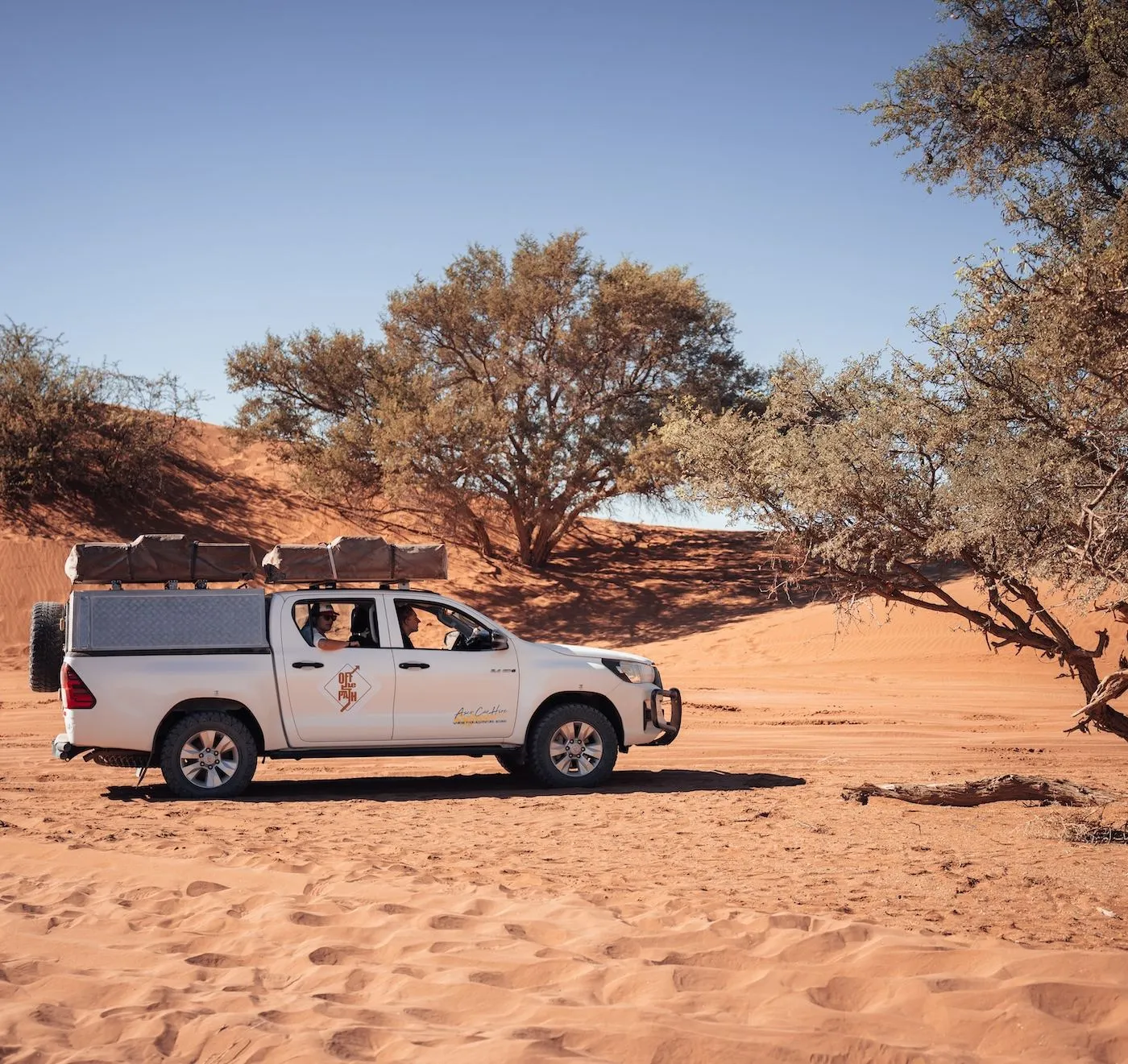 Weißer 4x4 mit Dachzelt im Schatten eines Wüstenbaums