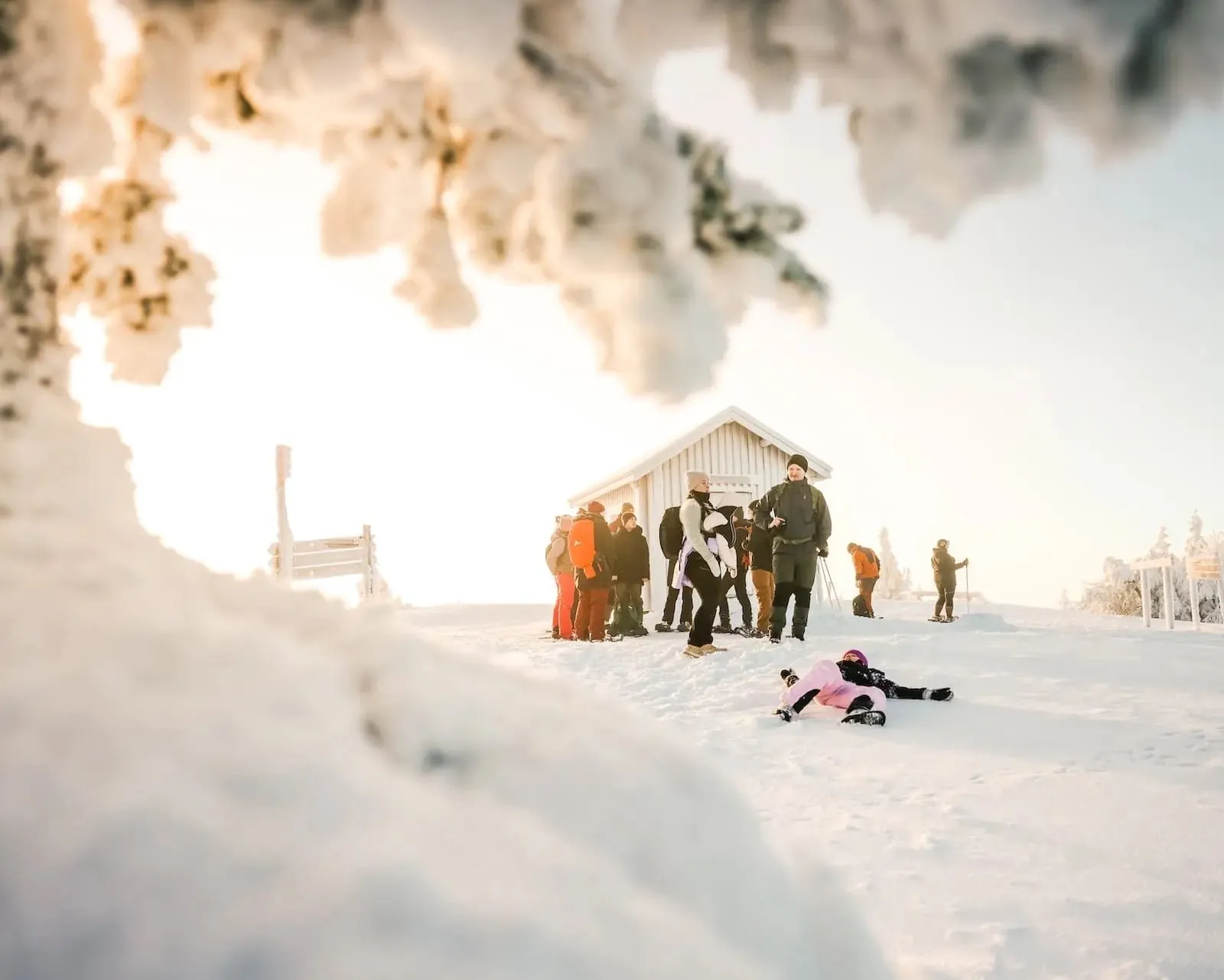 Die Gruppe an der Hütte oben auf dem Valtavaara