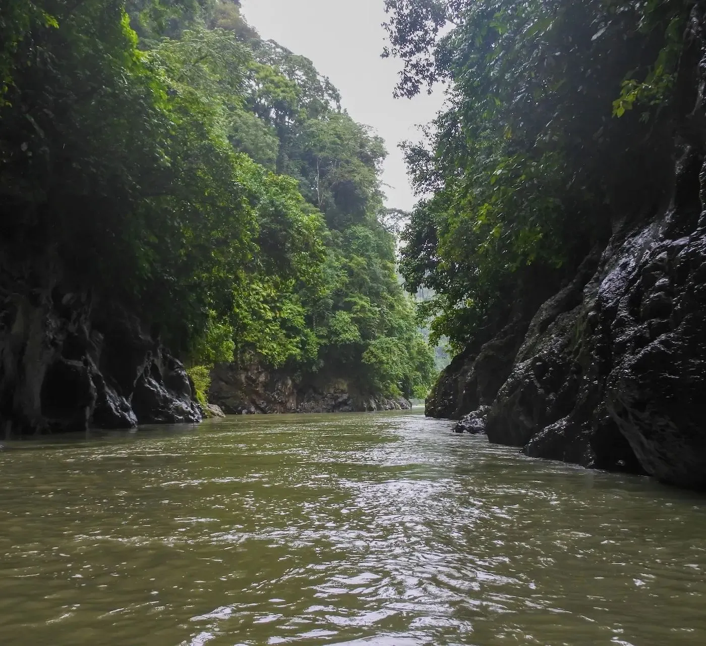 Steile grüne Felswände säumen den Fluss