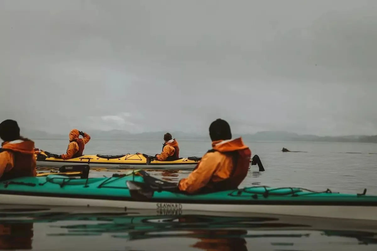Die Gruppe wartet bei grauem Wetter in den Kajaks, hinten taucht ein Tier auf