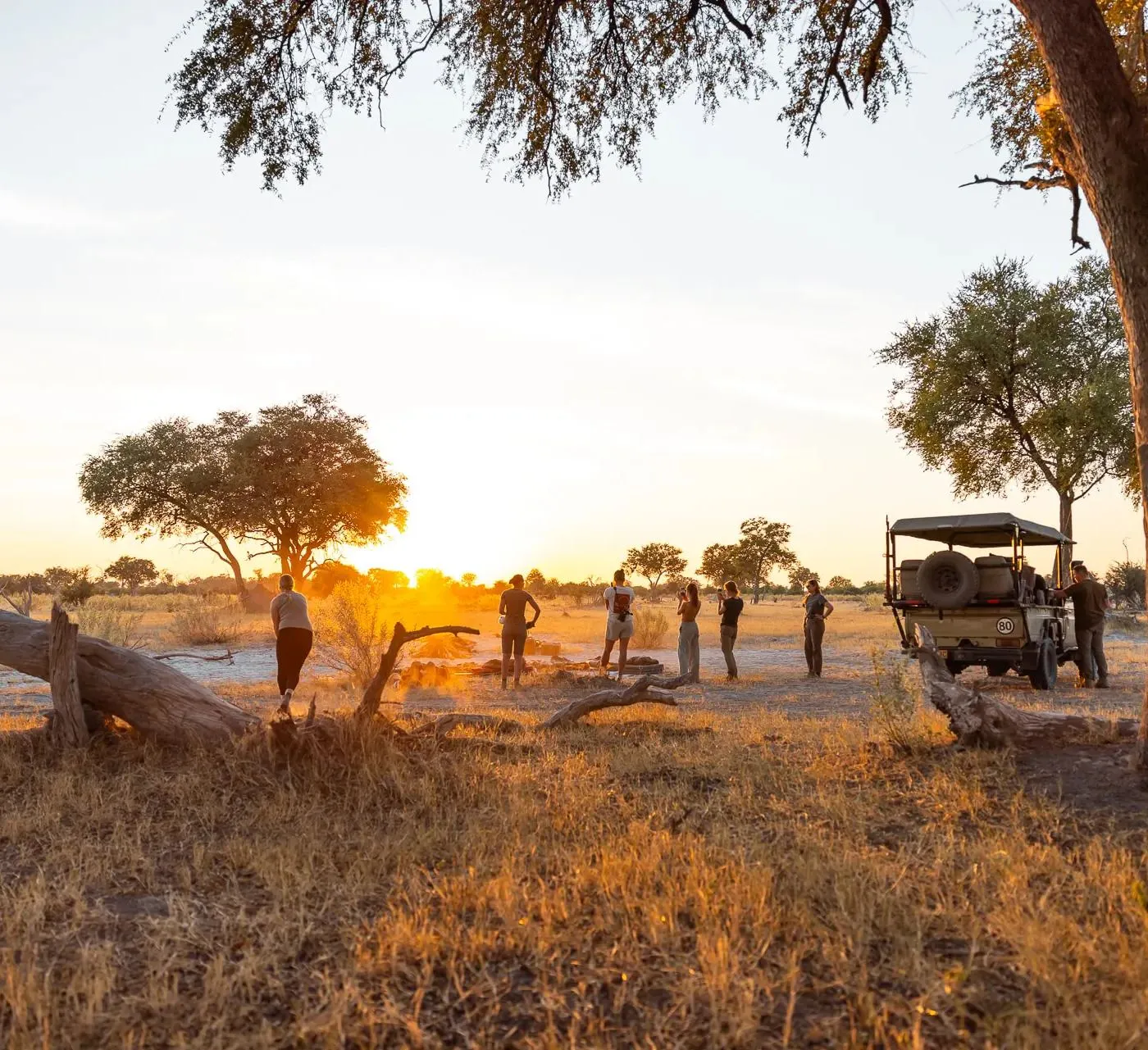 Die Gruppe im Gegenlicht der tiefstehenden Sonne, daneben das offene Safarifahrzeug