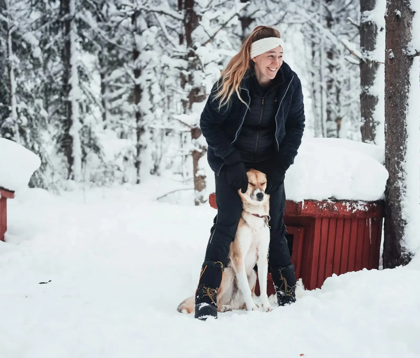 Pause bei den Hunden an der Hütte