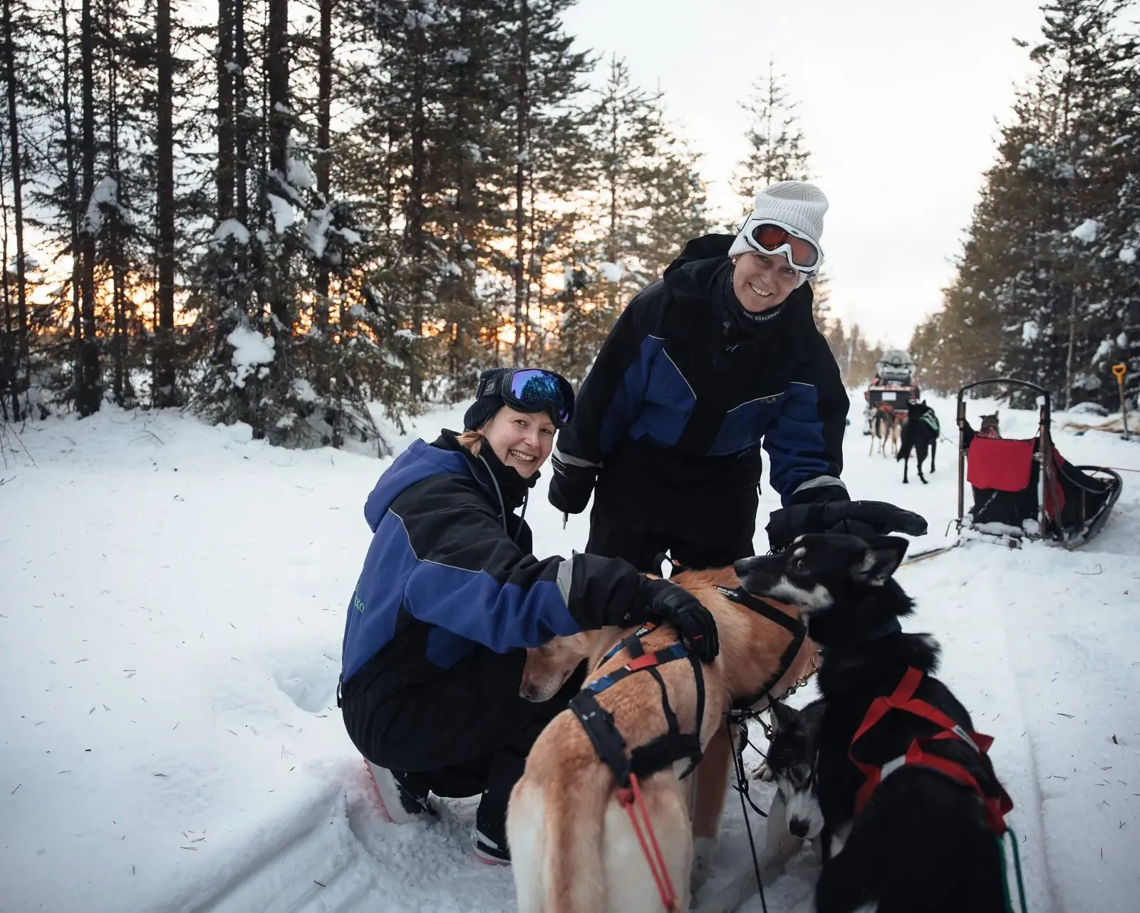 Abschied von den Huskys nach der letzten Etappe
