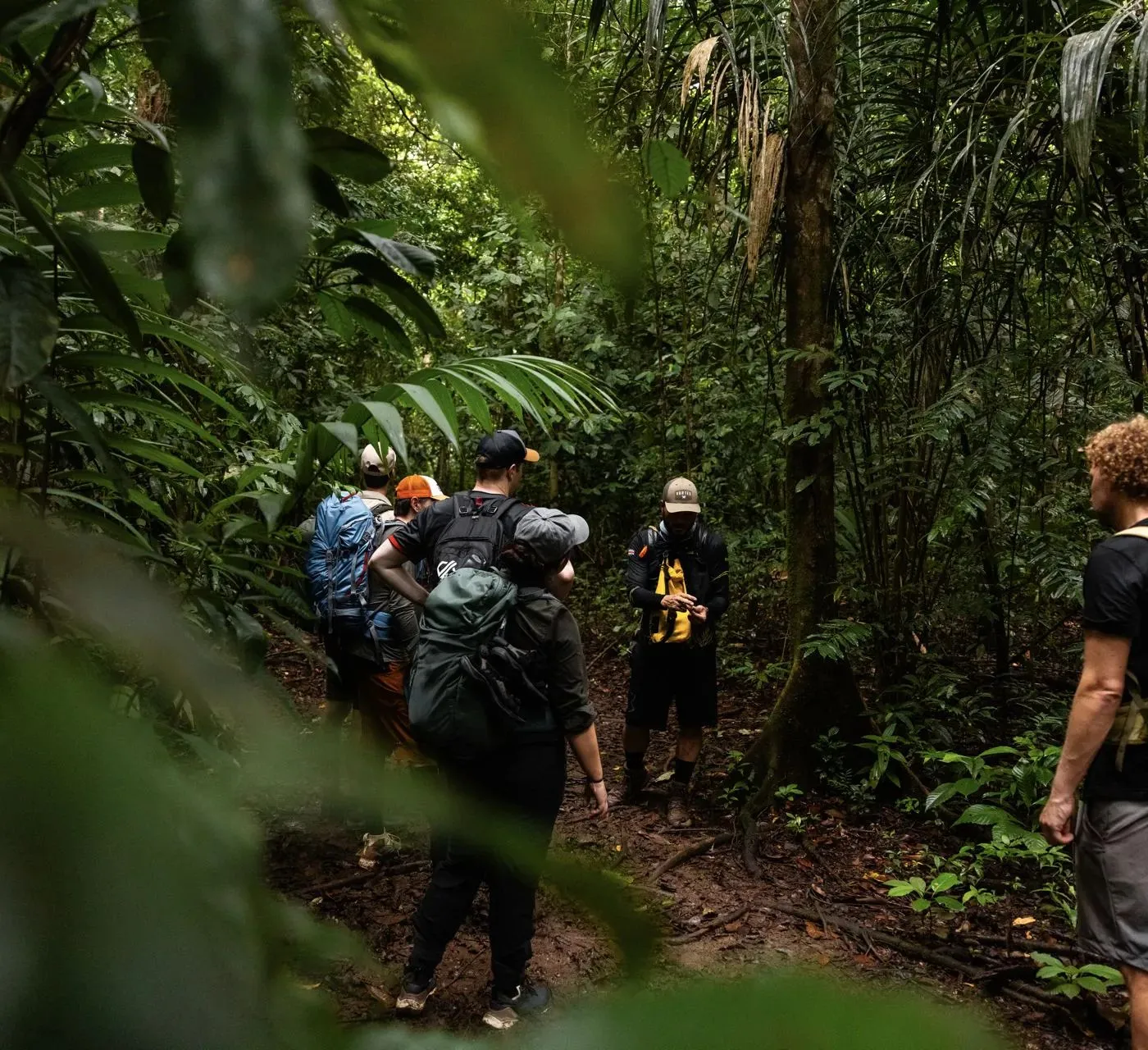 Die Gruppe wandert hintereinander durch dichten Regenwald