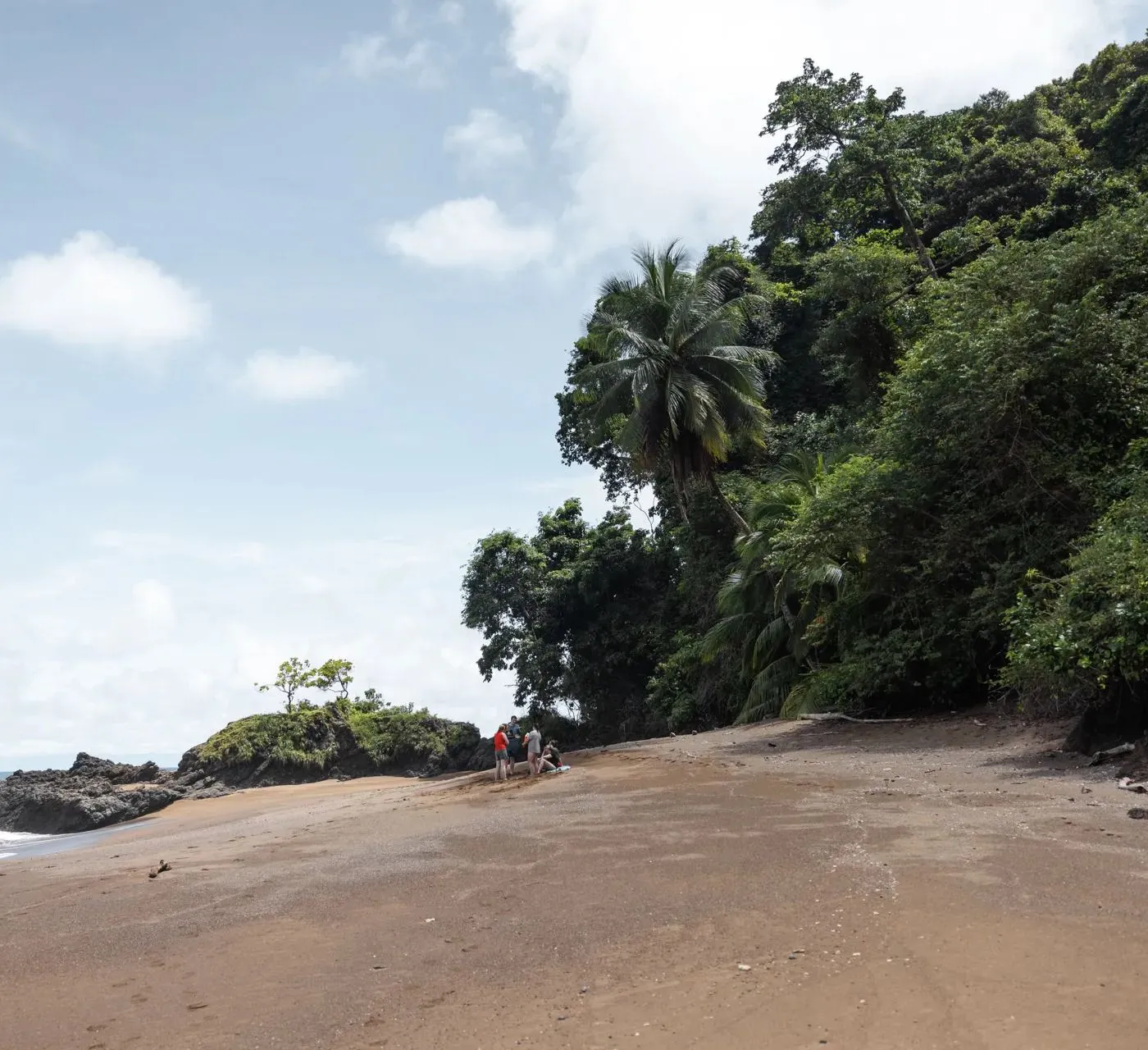Sandstrand mit Felsen und dichtem Wald dahinter