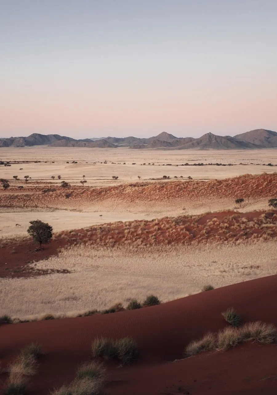 Blick über die Dünenlandschaft der Namib