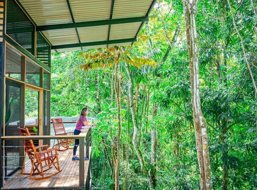 Terrasse mit Blick in den Regenwald