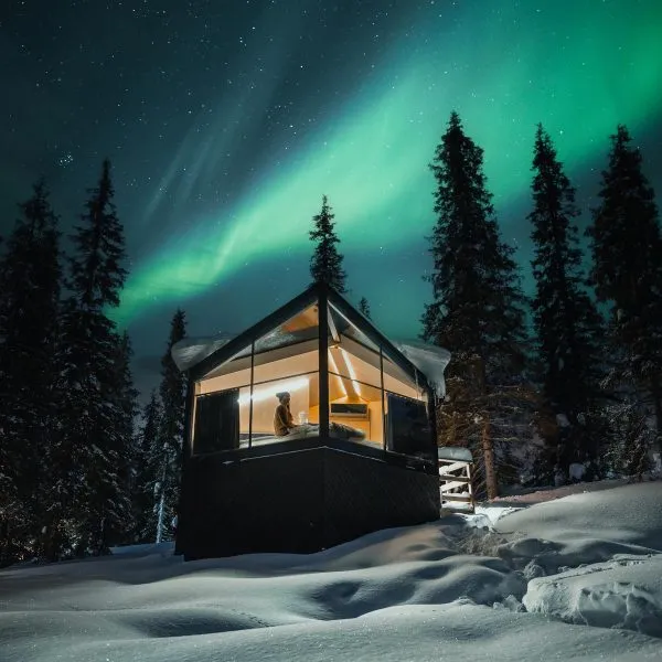 Glas-Iglu unter Nordlichtern im verschneiten Wald