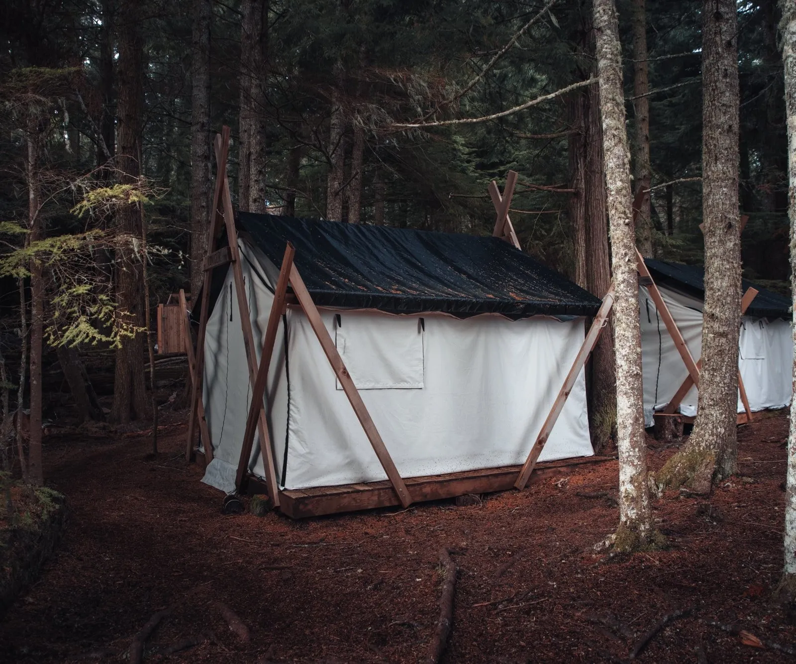 Glamping-Zelt im Base Camp auf Hanson Island
